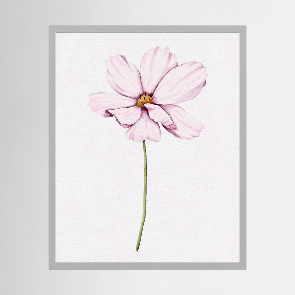 Watercolor Cosmos 