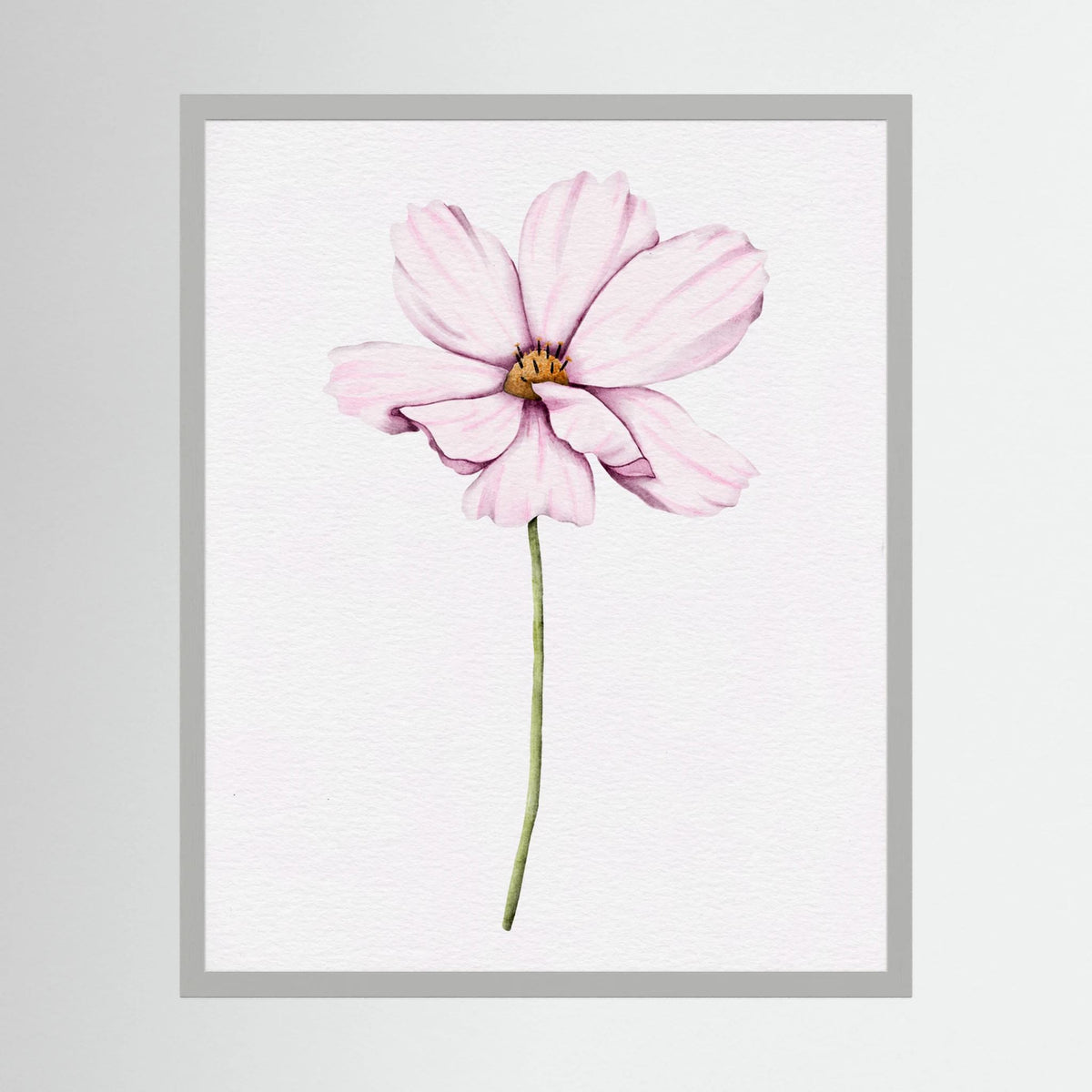 Watercolor Cosmos 