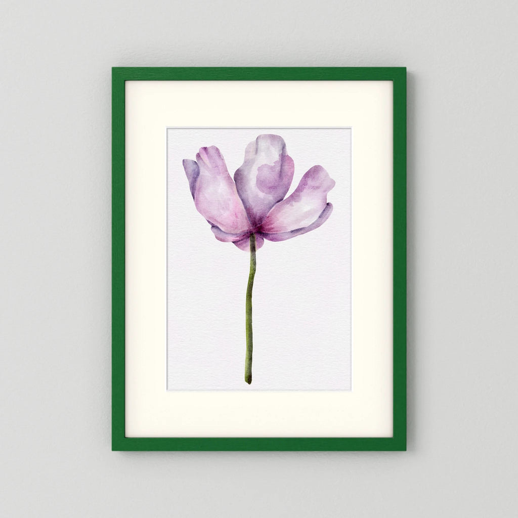 Watercolor Anemone 
