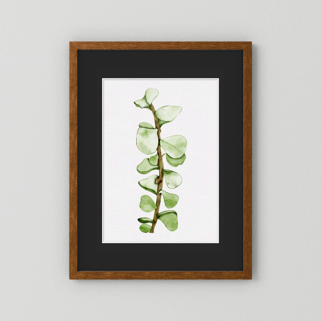 Watercolor Tall Succulent