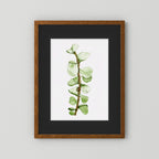 Watercolor Tall Succulent