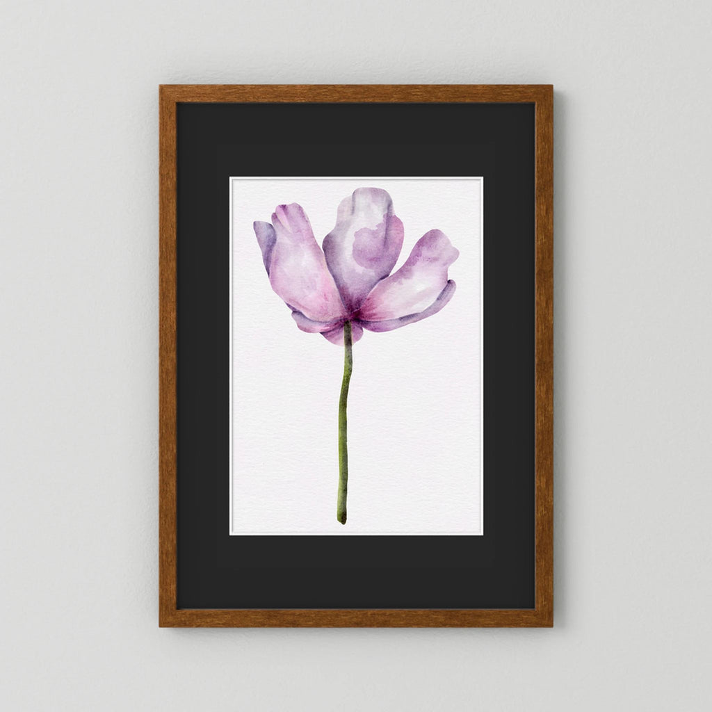 Watercolor Anemone 