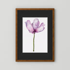 Watercolor Anemone 