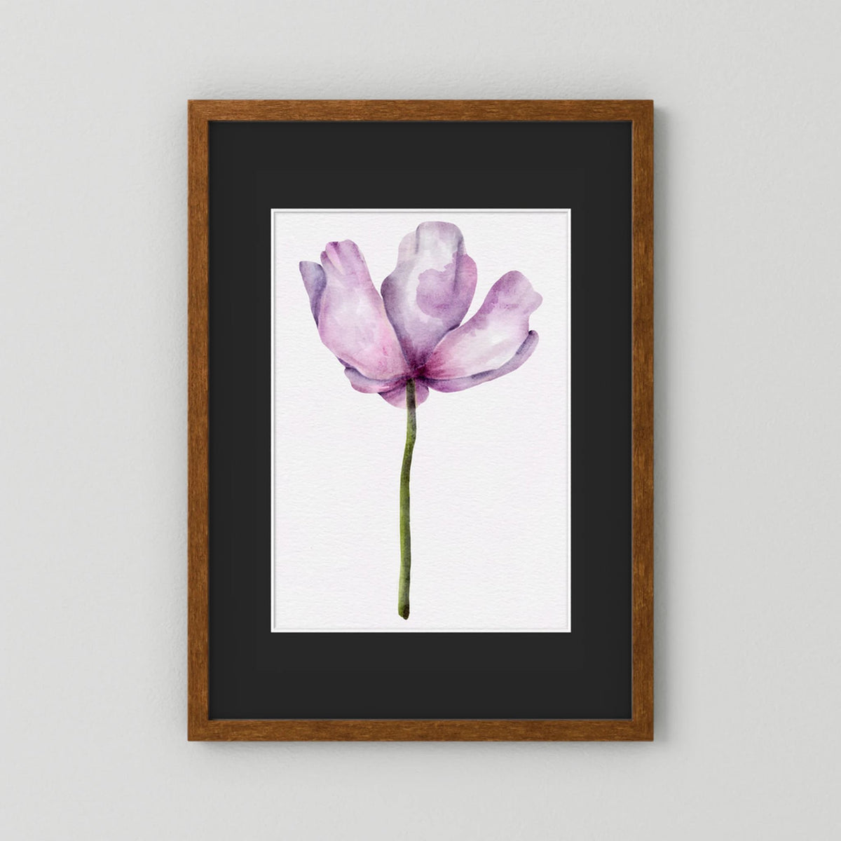 Watercolor Anemone 