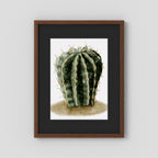 Watercolor Spiky Cactus
