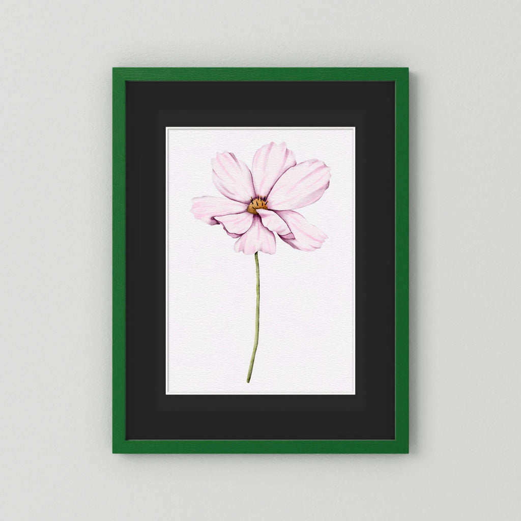 Watercolor Cosmos 