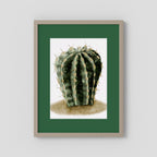Watercolor Spiky Cactus