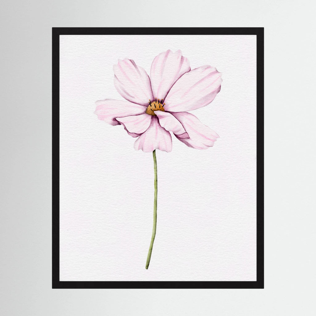Watercolor Cosmos 