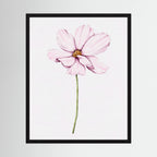 Watercolor Cosmos 