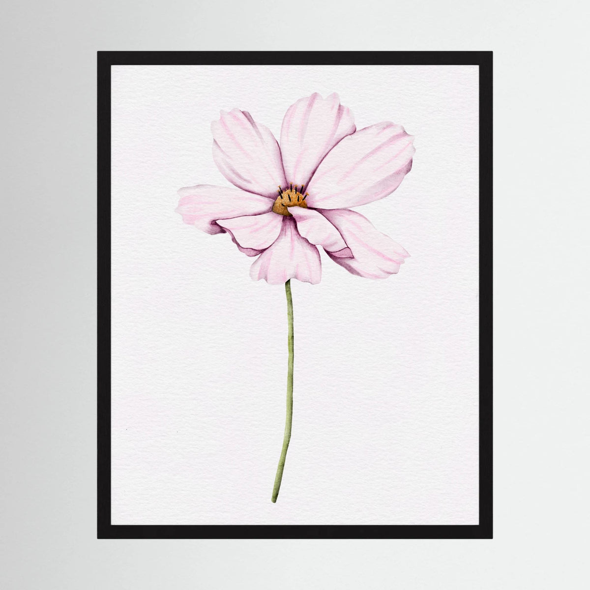Watercolor Cosmos 