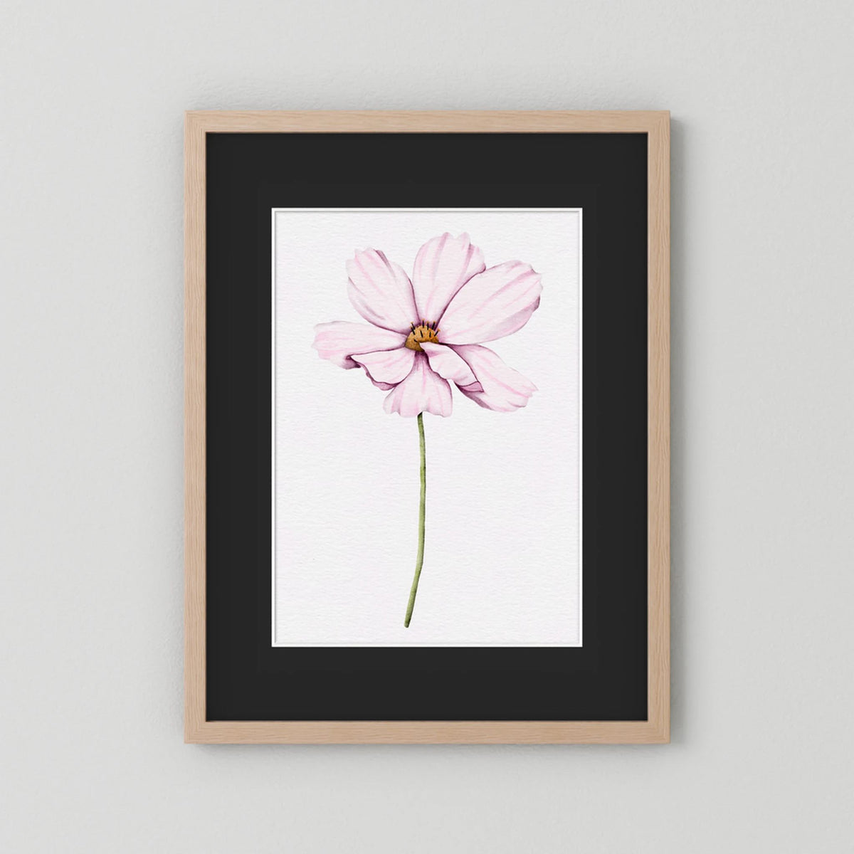 Watercolor Cosmos 