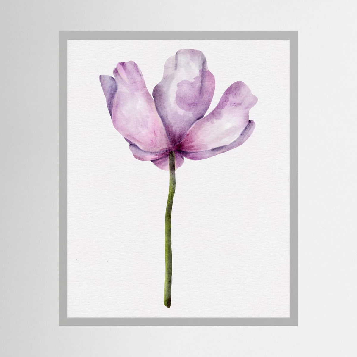 Watercolor Anemone 