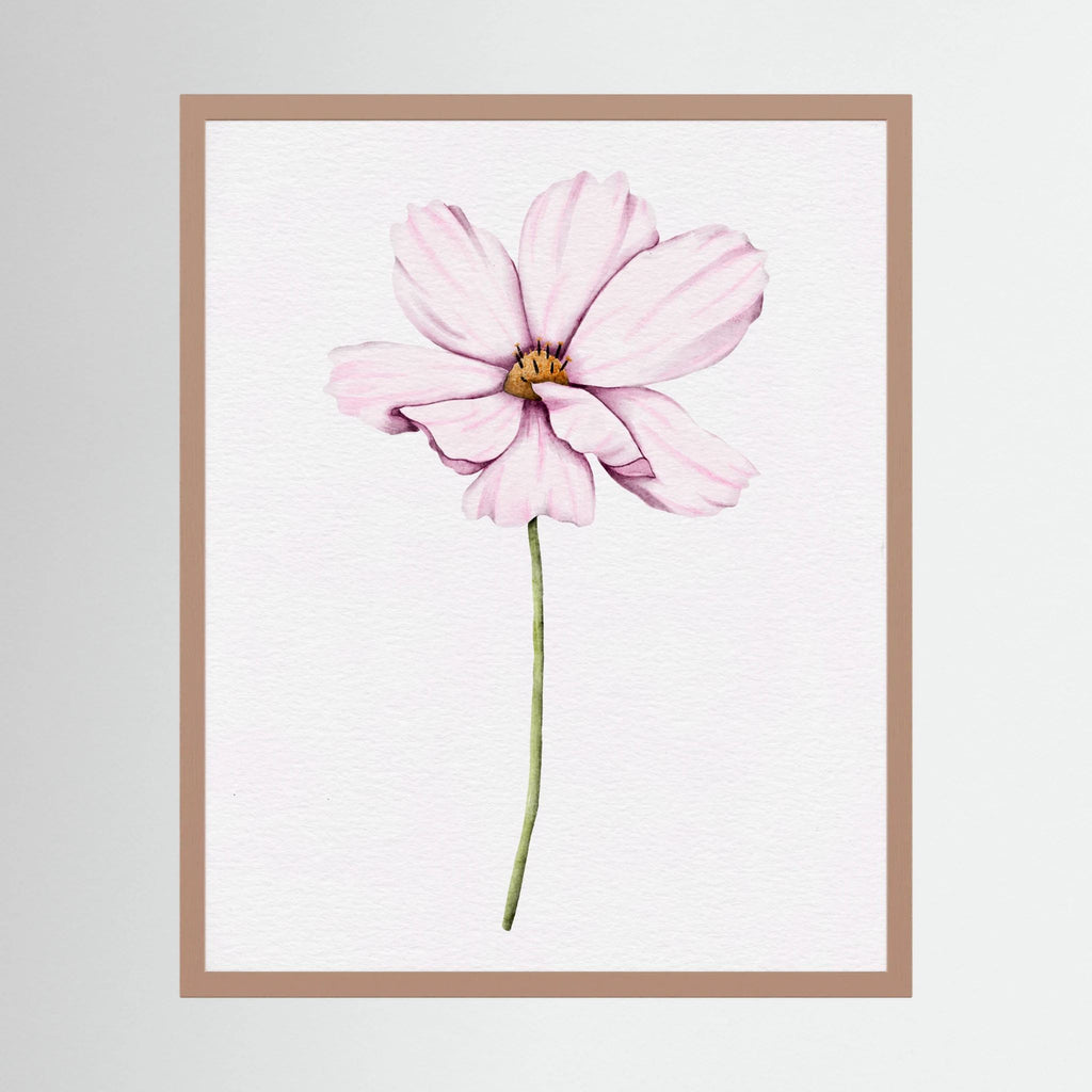 Watercolor Cosmos 