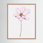 Watercolor Cosmos 