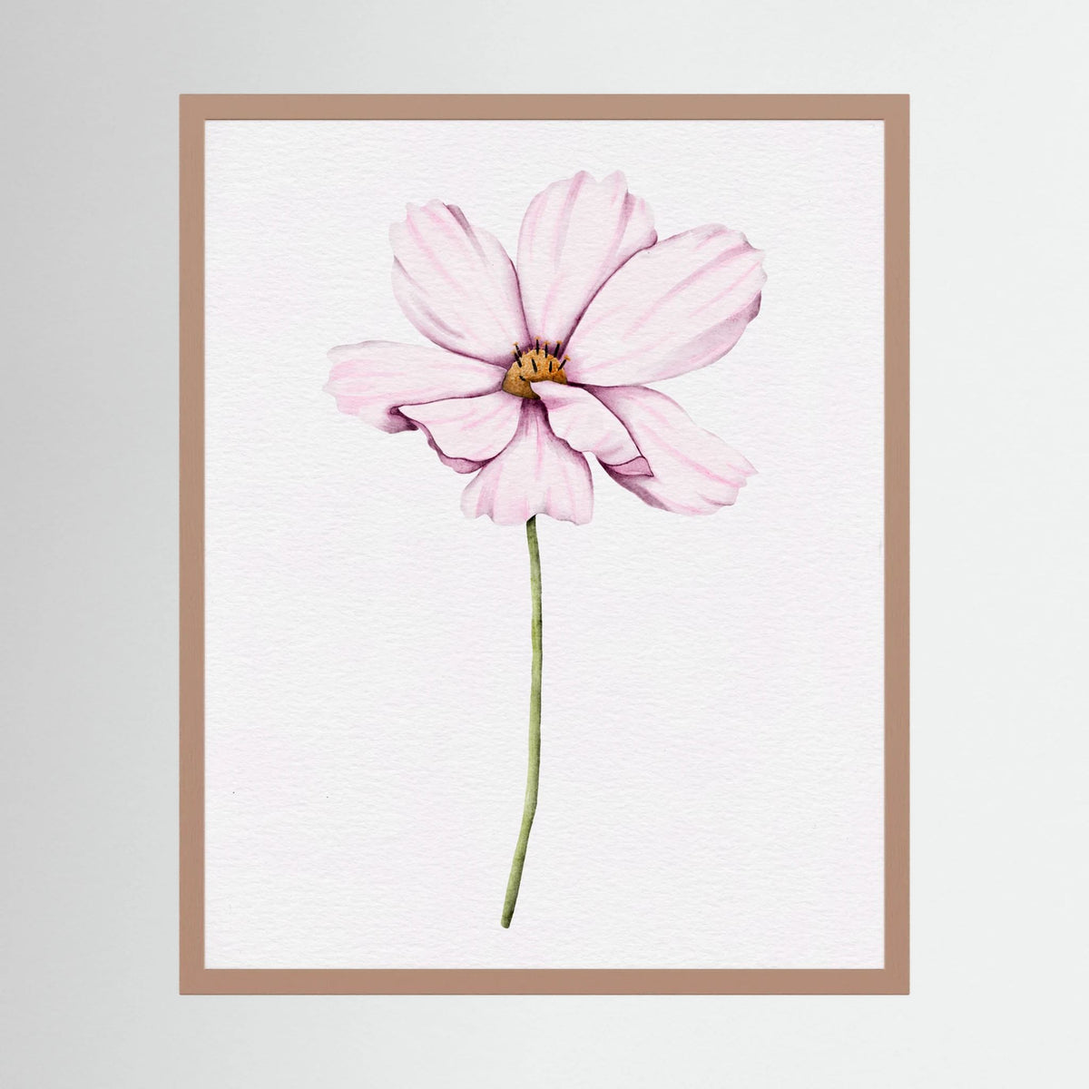 Watercolor Cosmos 