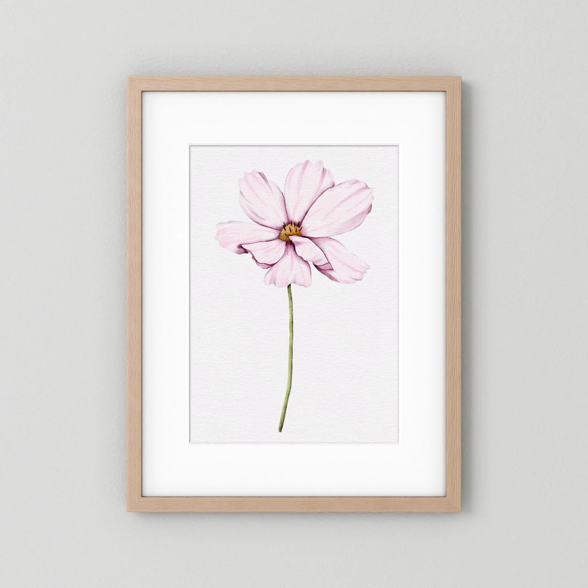 Watercolor Cosmos 
