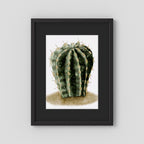 Watercolor Spiky Cactus
