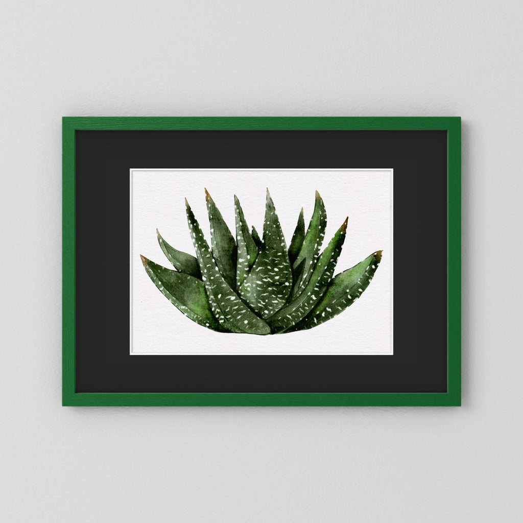Watercolor Spiky Succulent