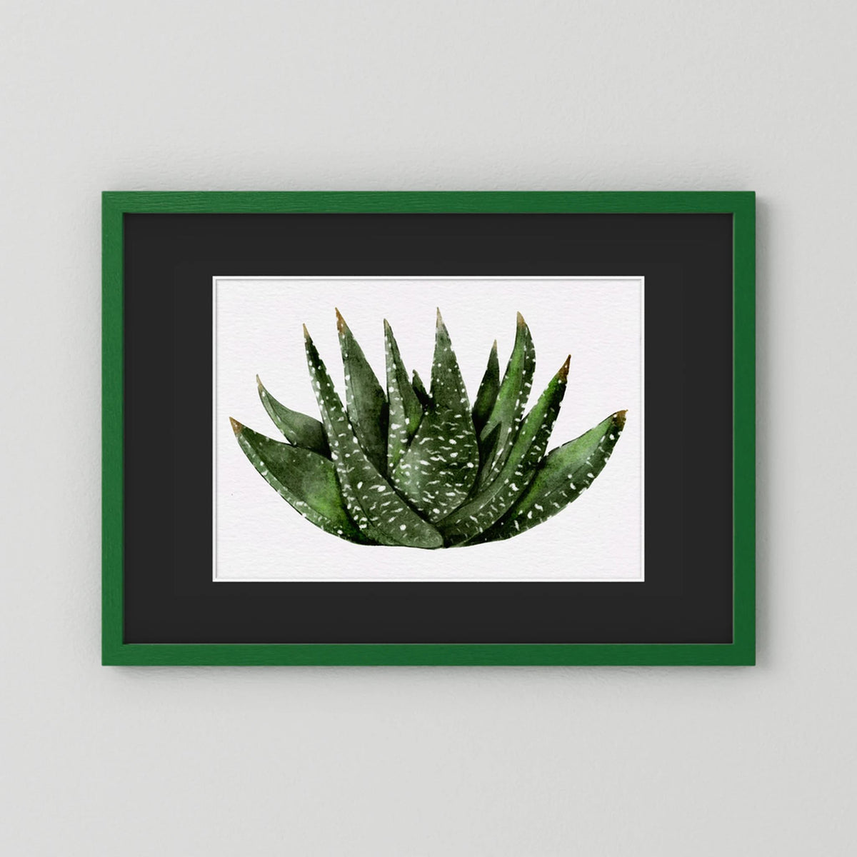 Watercolor Spiky Succulent