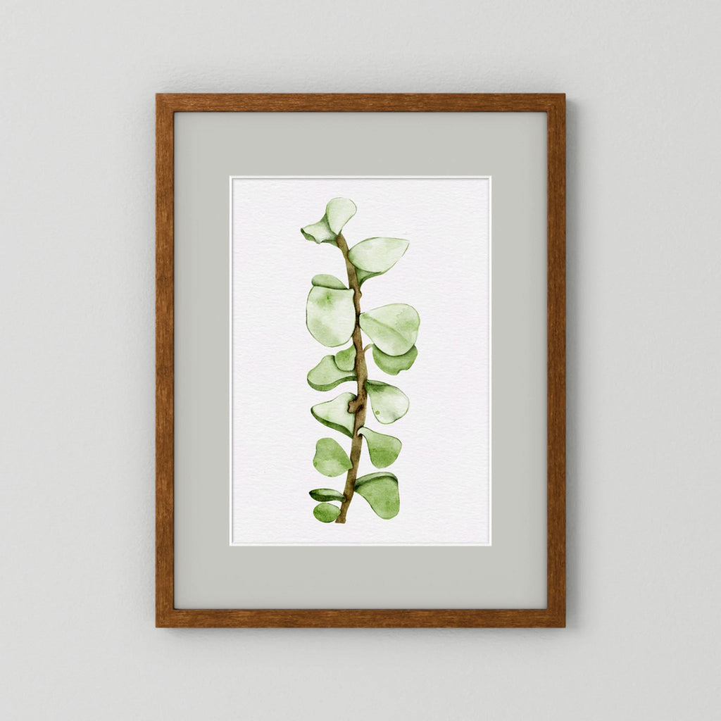 Watercolor Tall Succulent