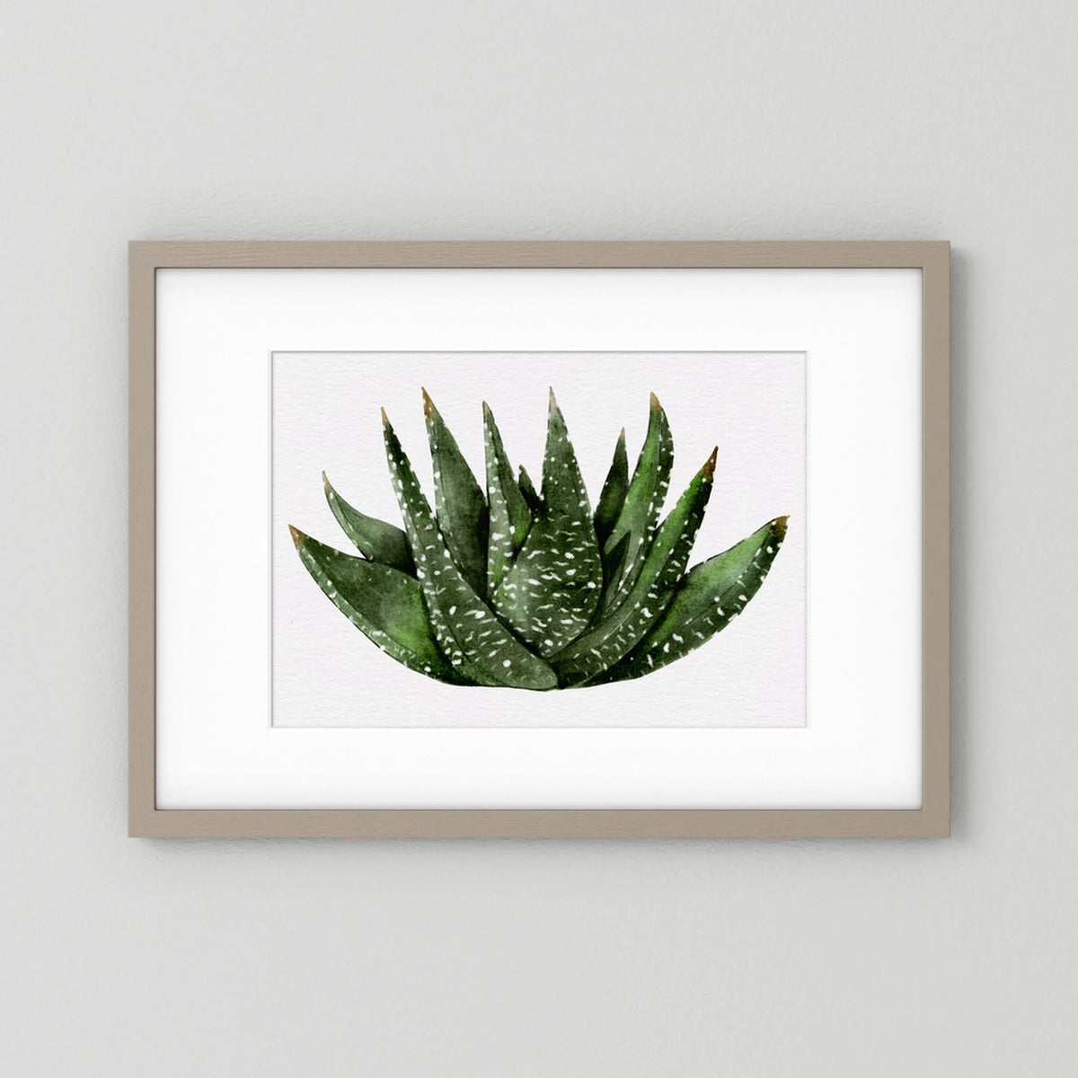 Watercolor Spiky Succulent