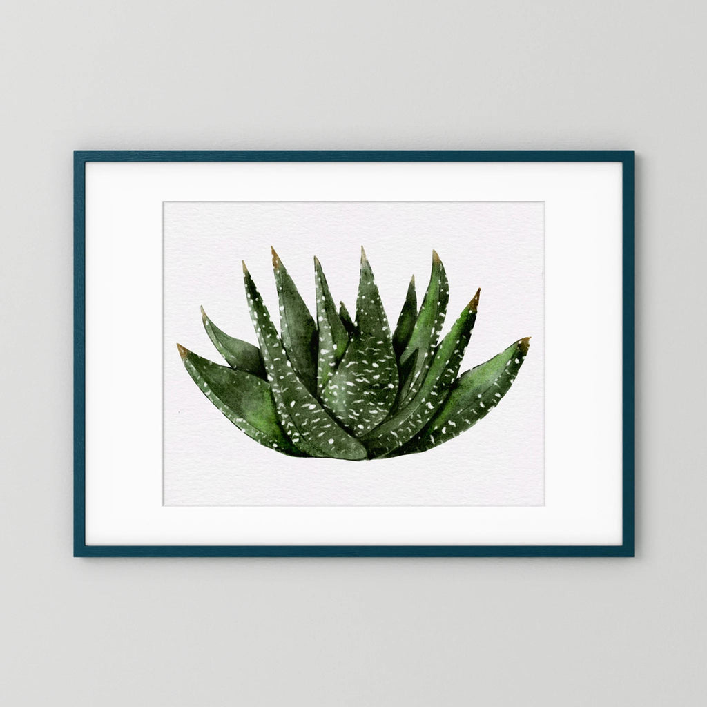 Watercolor Spiky Succulent