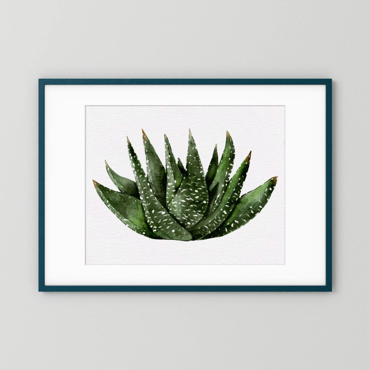 Watercolor Spiky Succulent