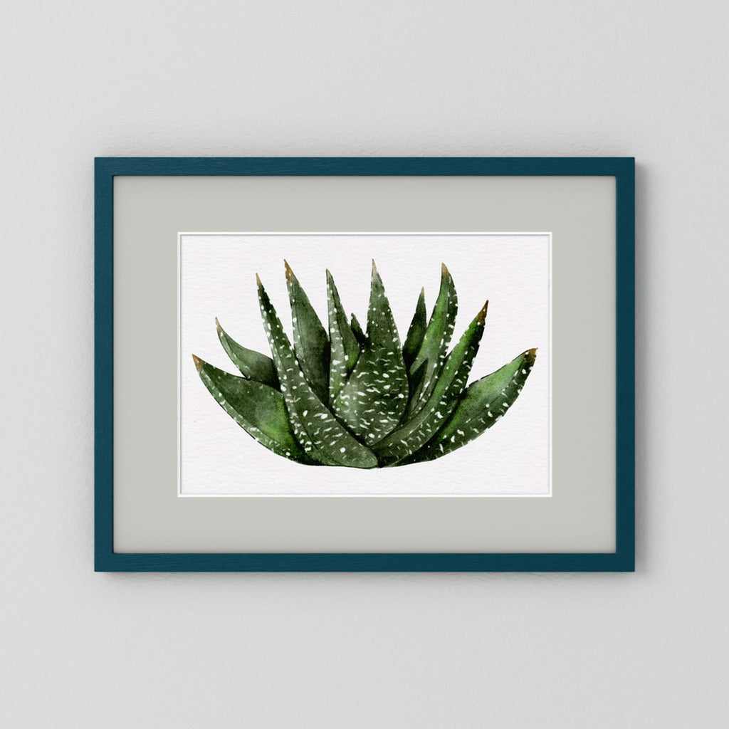 Watercolor Spiky Succulent