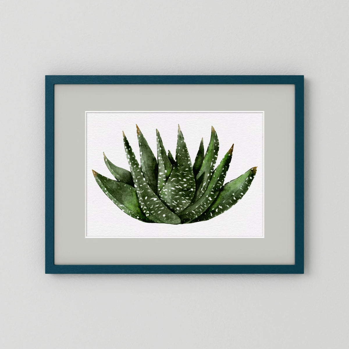 Watercolor Spiky Succulent