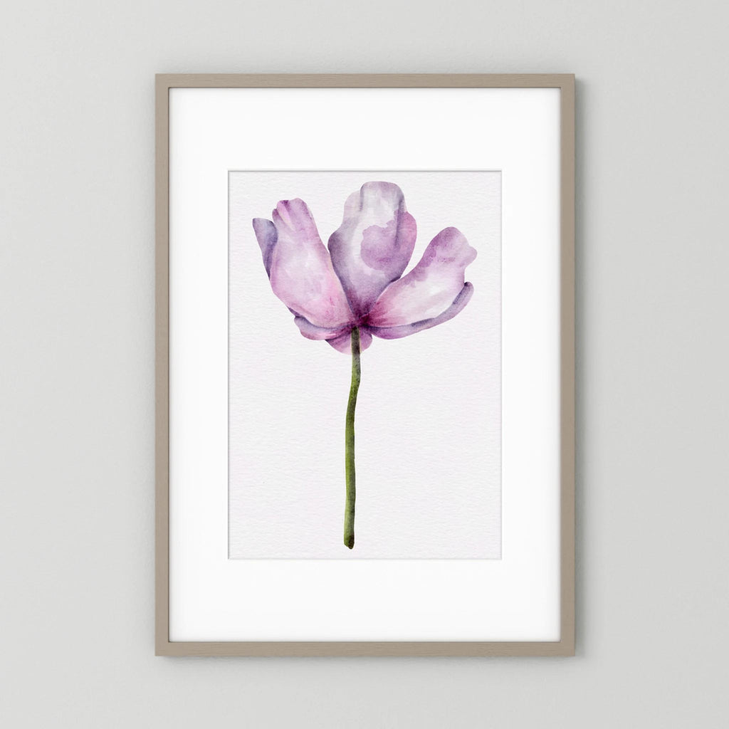 Watercolor Anemone 