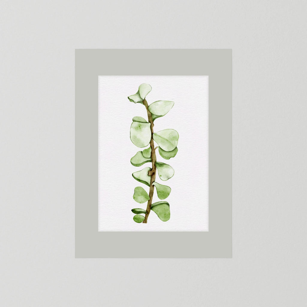 Watercolor Tall Succulent