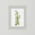 Watercolor Tall Succulent