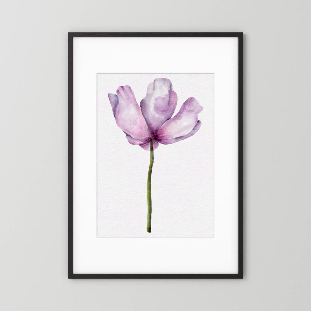 Watercolor Anemone 