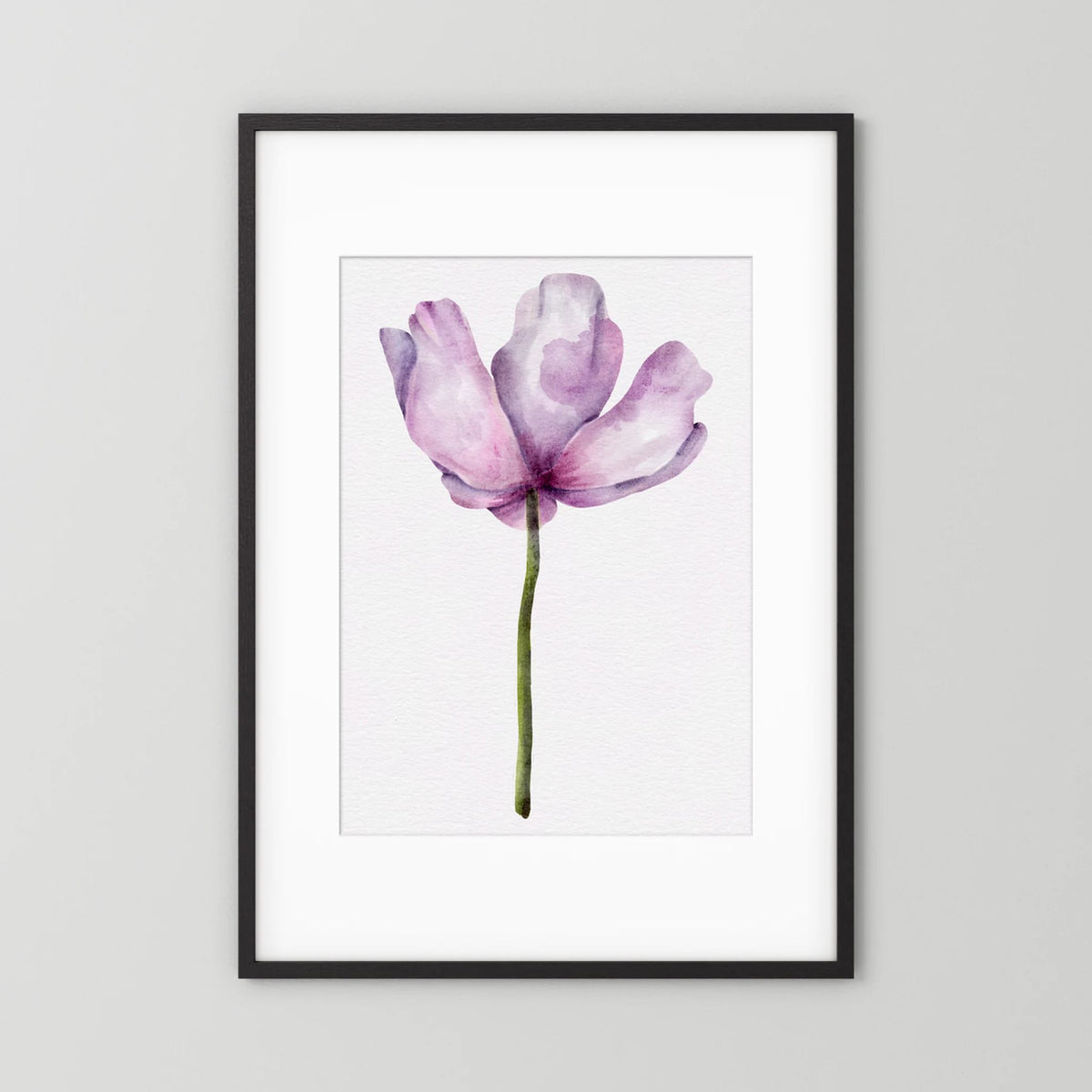 Watercolor Anemone 