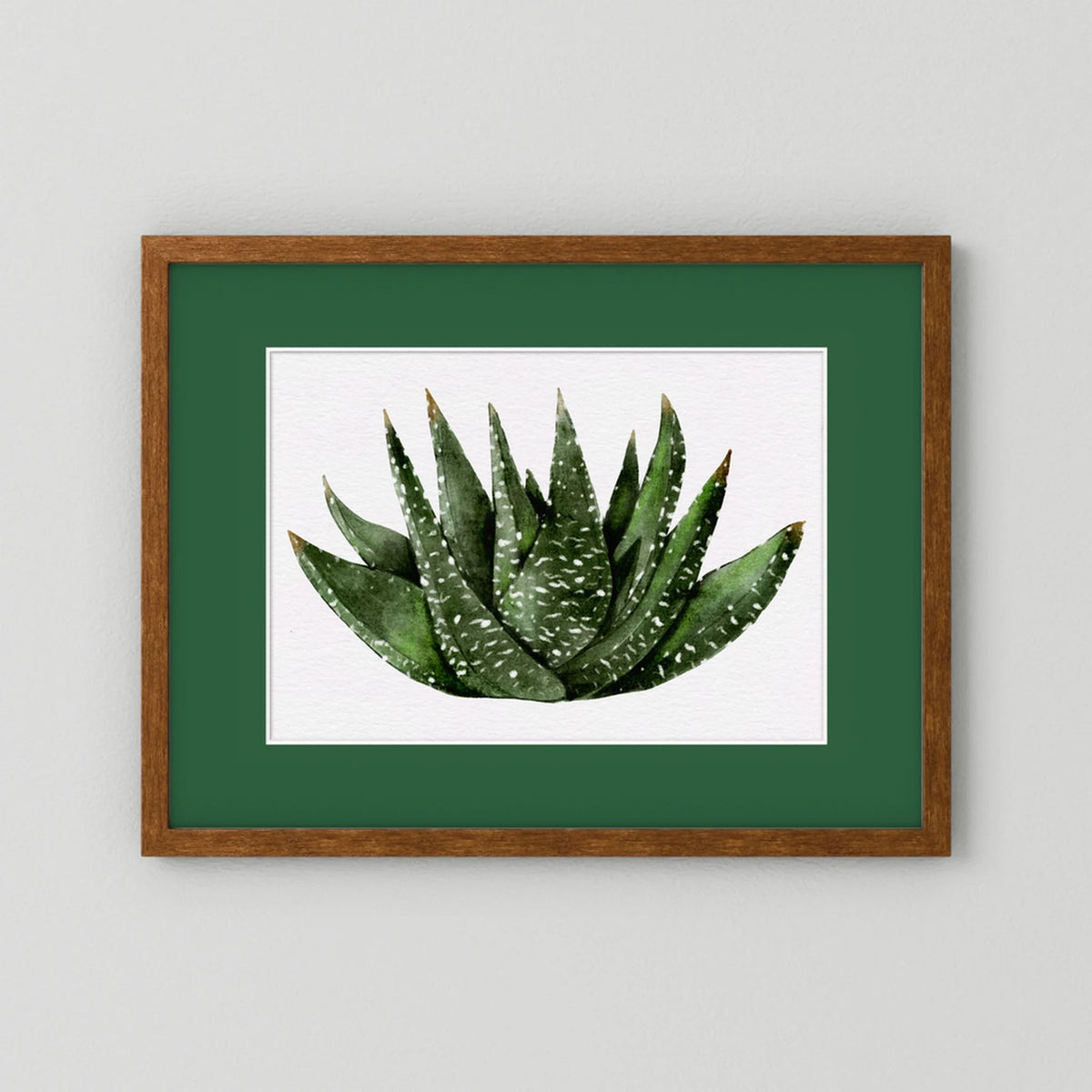 Watercolor Spiky Succulent