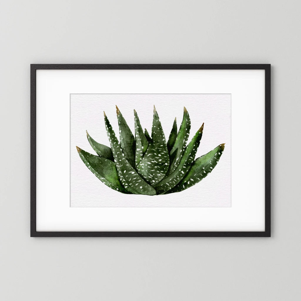Watercolor Spiky Succulent