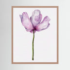 Watercolor Anemone 