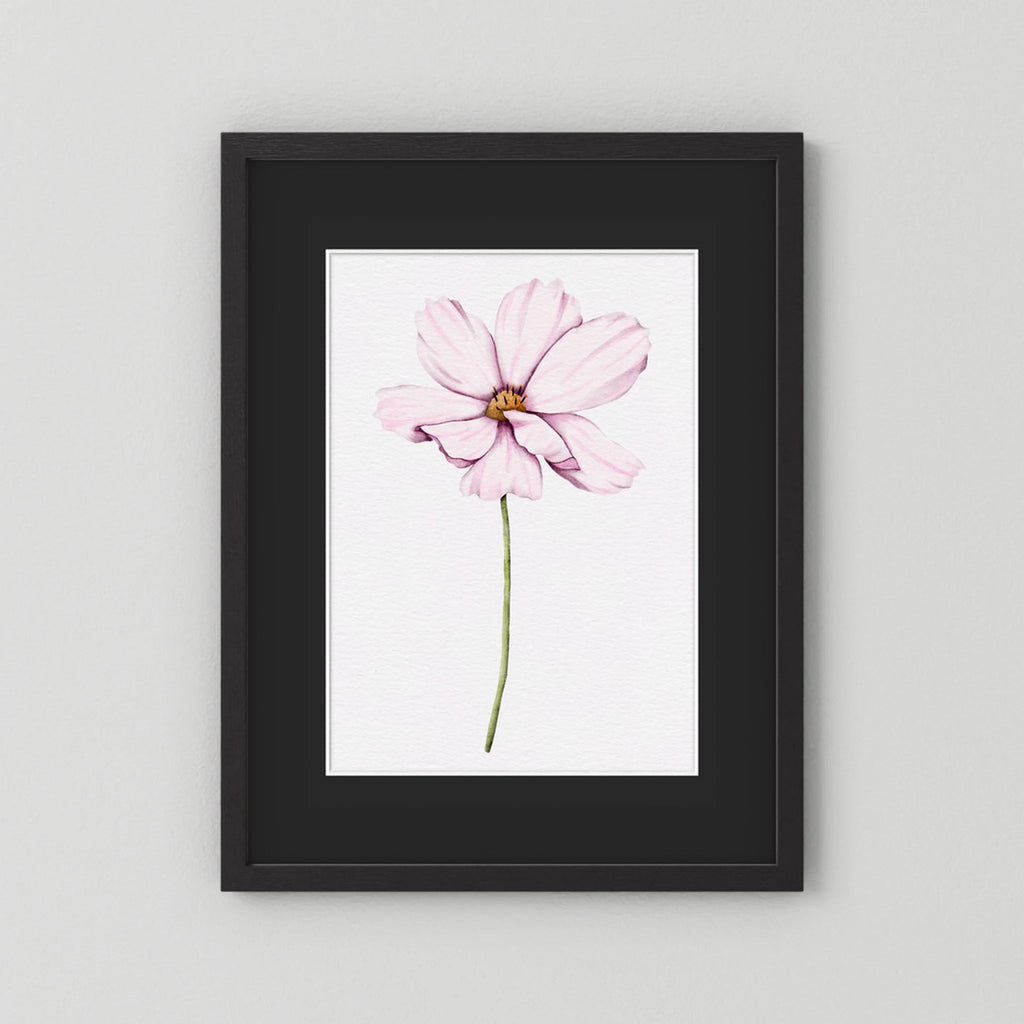 Watercolor Cosmos 