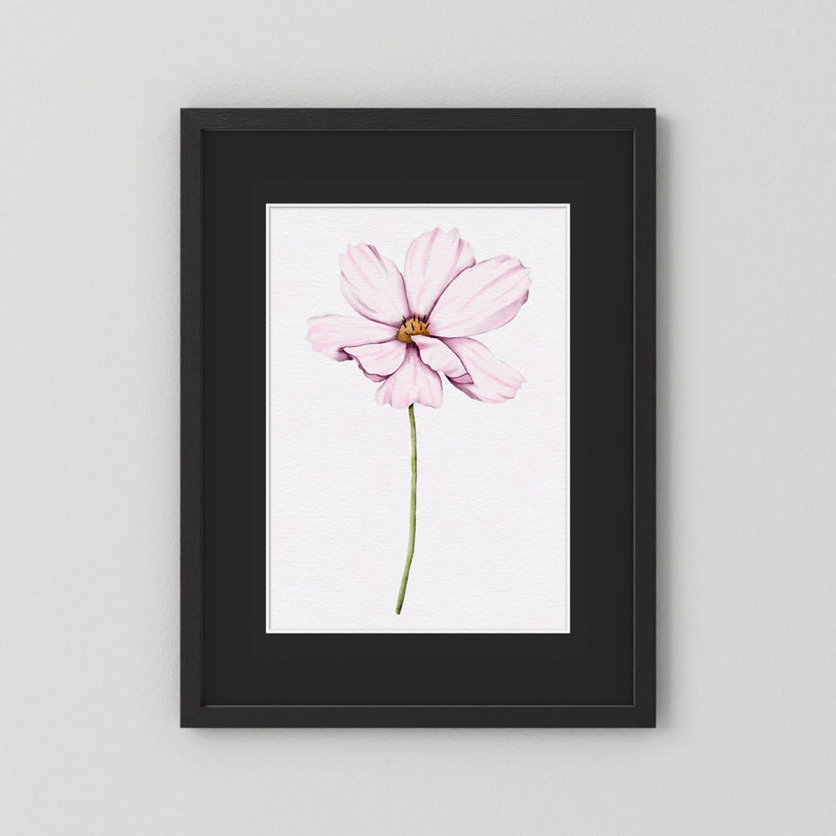 Watercolor Cosmos 