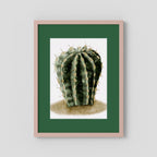 Watercolor Spiky Cactus