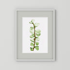 Watercolor Tall Succulent
