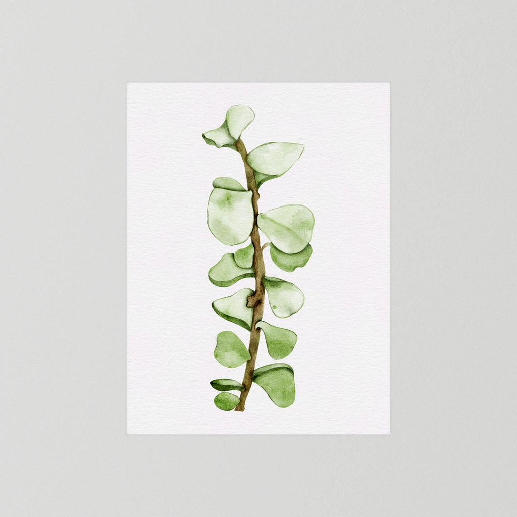 Watercolor Tall Succulent