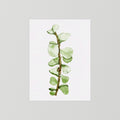 Watercolor Tall Succulent