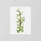 Watercolor Tall Succulent