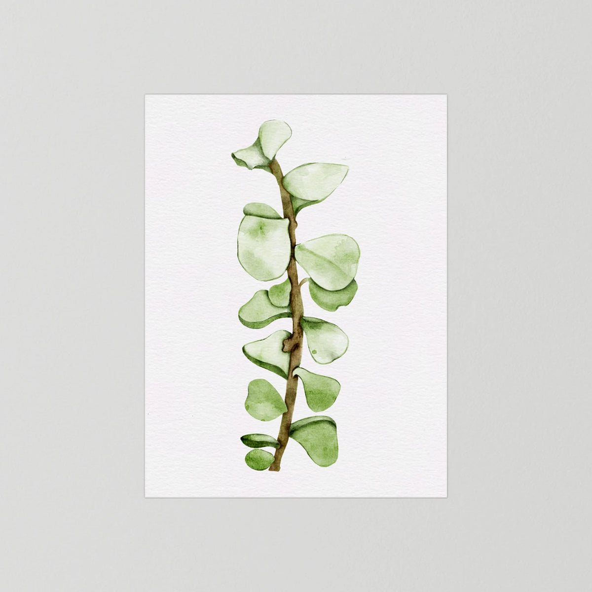 Watercolor Tall Succulent