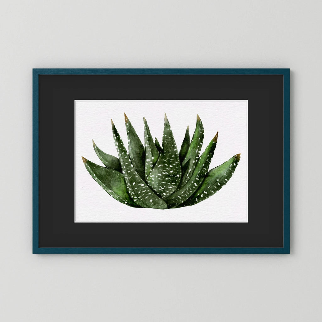 Watercolor Spiky Succulent