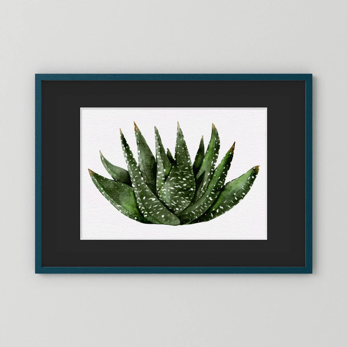 Watercolor Spiky Succulent