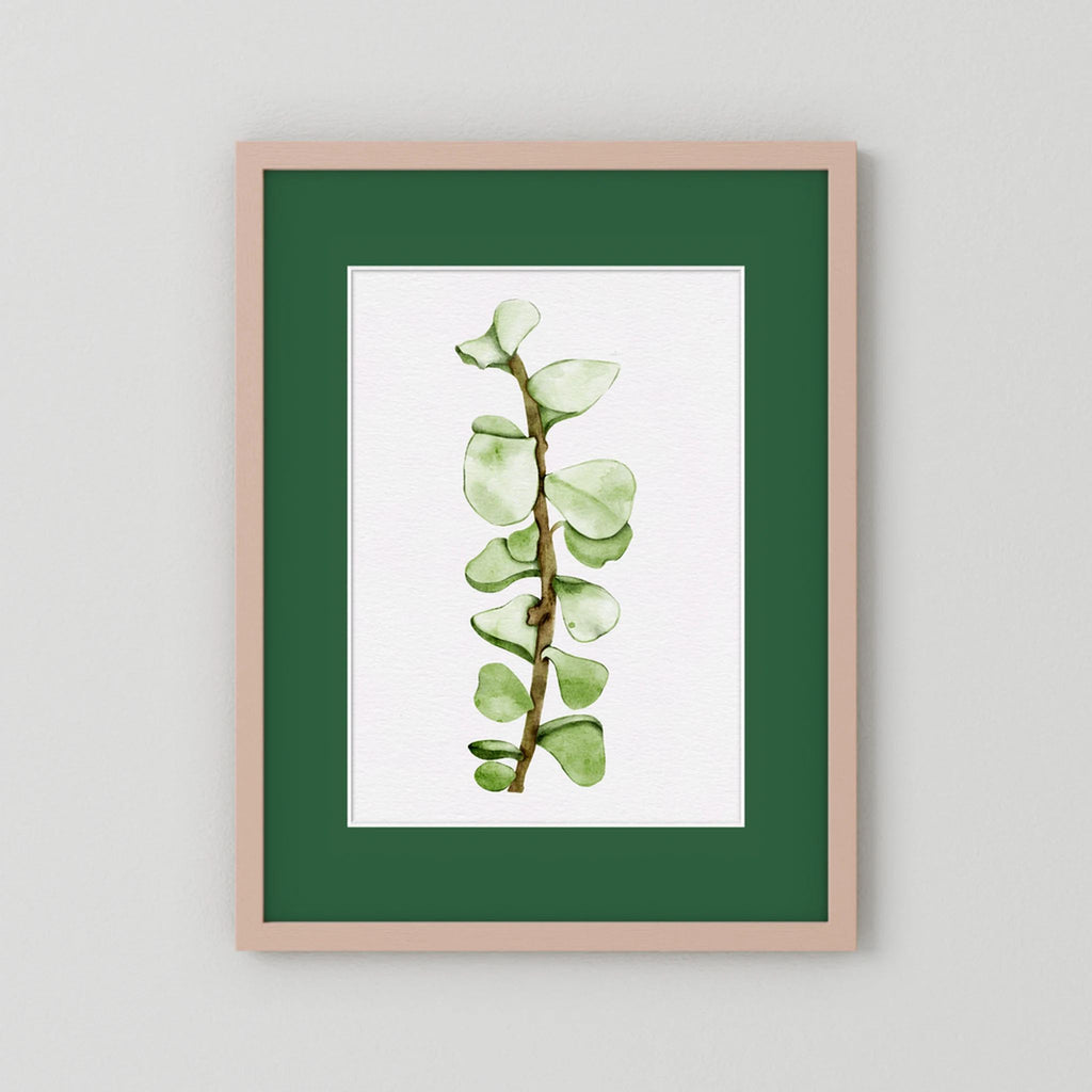 Watercolor Tall Succulent
