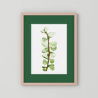 Watercolor Tall Succulent