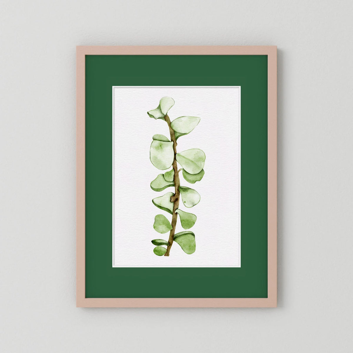 Watercolor Tall Succulent